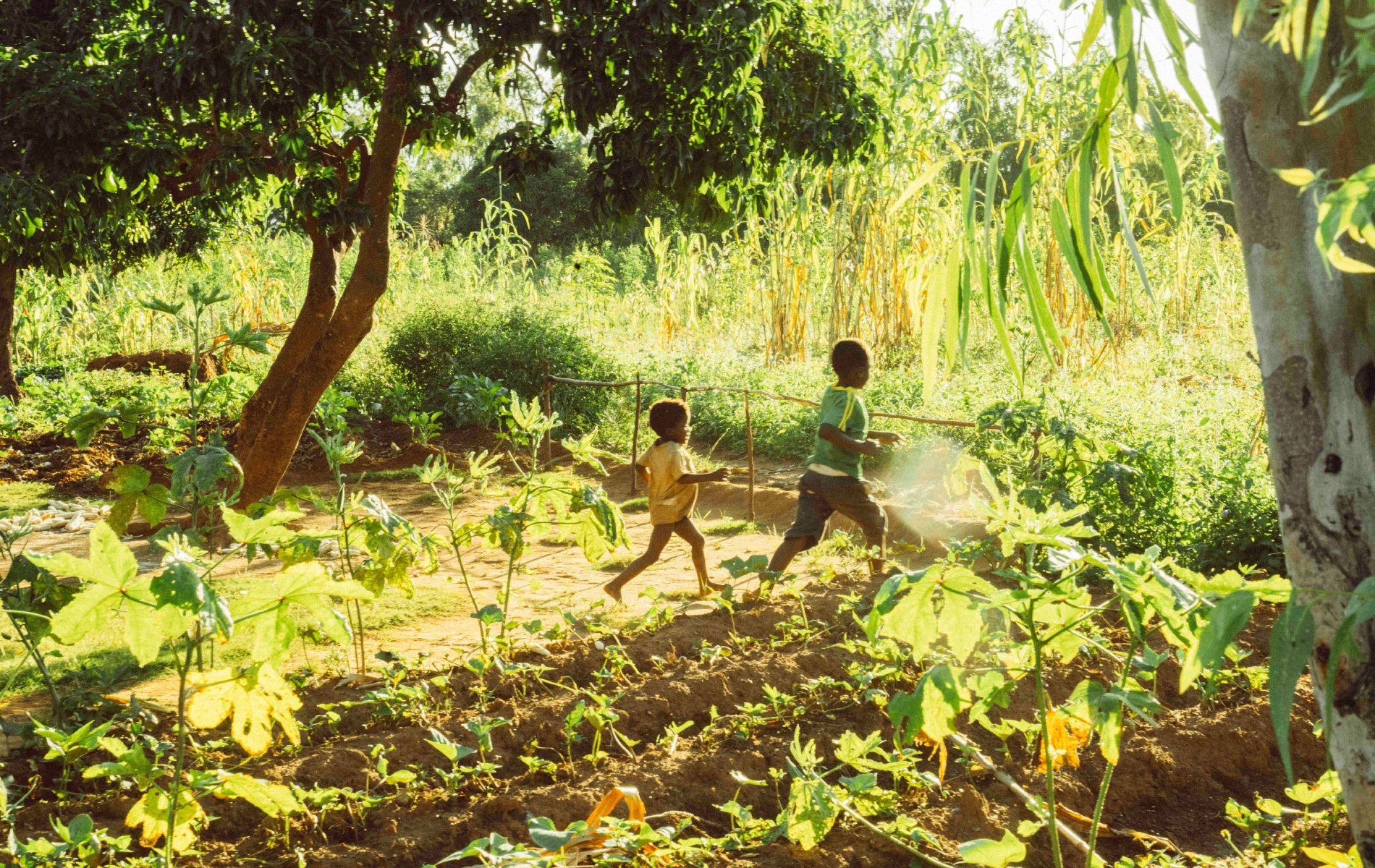 Two children run through a small farm of newly planted crops.