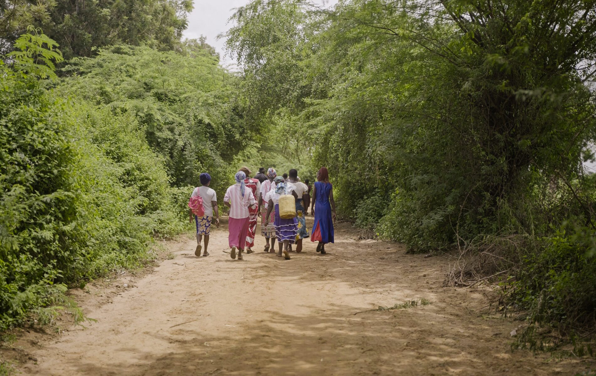 A group of people walk down a tree-lined dirt road carrying buckets and jerry cans.