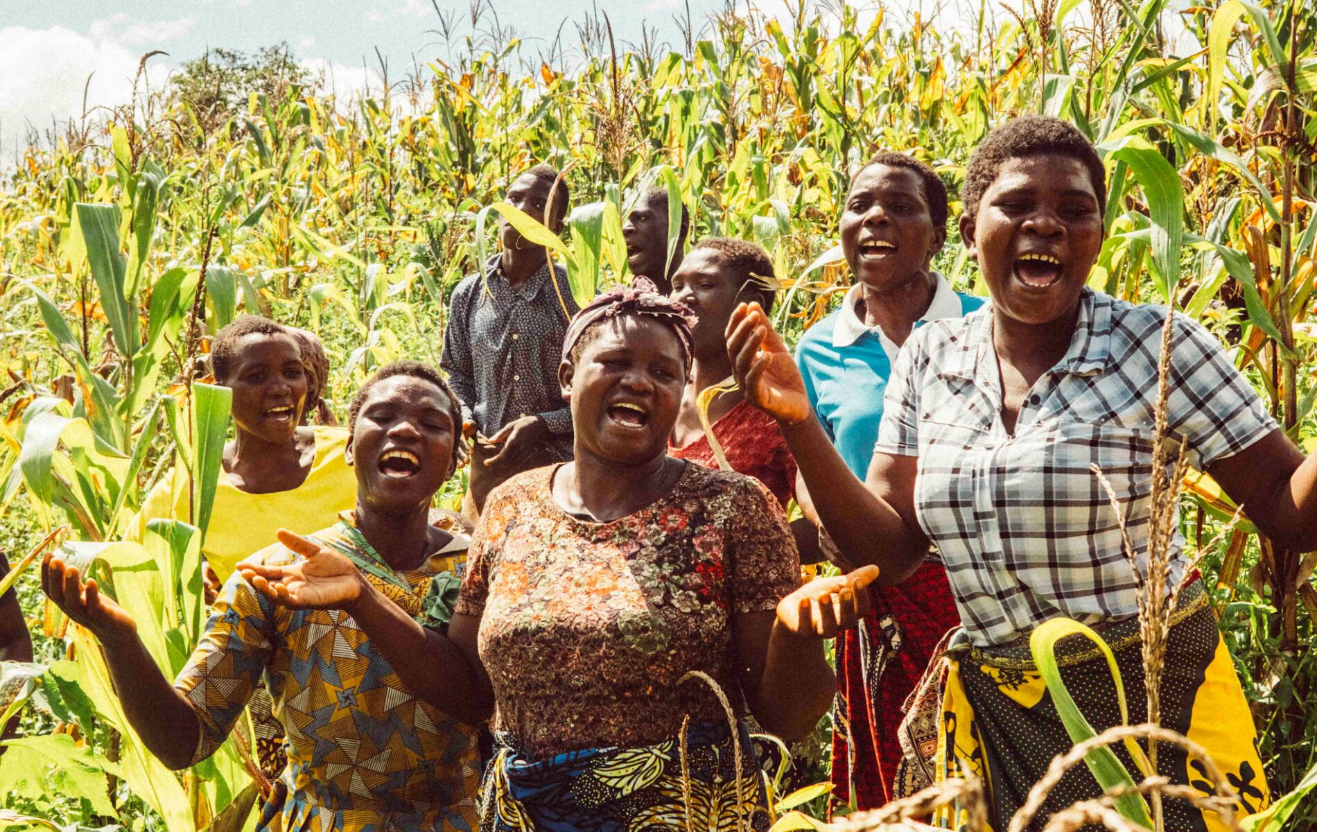 A group of women stand in a cornfield.